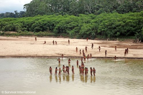 Amazon Uncontacted Tribes Explainer