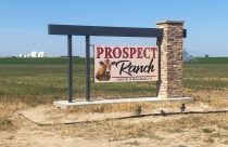 Colorado Dairy Deaths