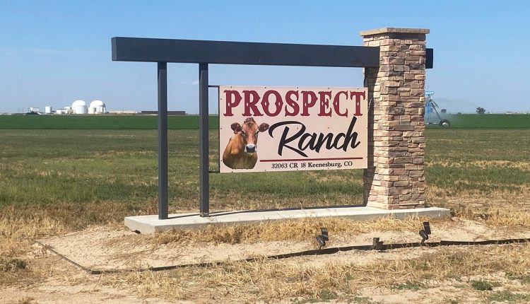 Colorado Dairy Deaths