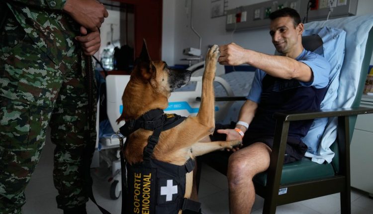 APTOPIX Colombia Military Dogs