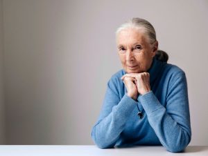 Obit Jane Goodall