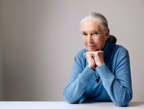 Obit Jane Goodall