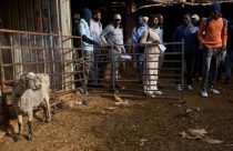 Spain Migrant Shepherds