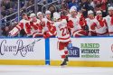 Red Wings Maple Leafs Hockey