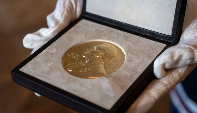 Nobel What to Know