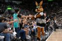 Spurs Arena Vote Basketball