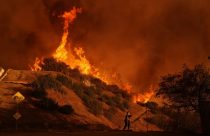 California Wildfires Palisades Investigation