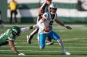Panthers Jets Football