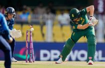 India Women's Cricket WCup