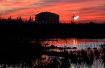 Louisiana LNG Court Ruling
