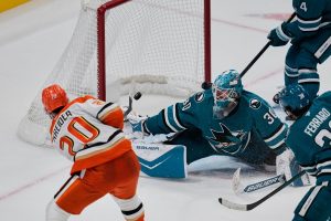 Ducks Sharks Hockey