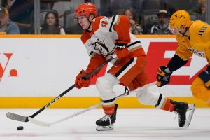 Ducks Predators Hockey