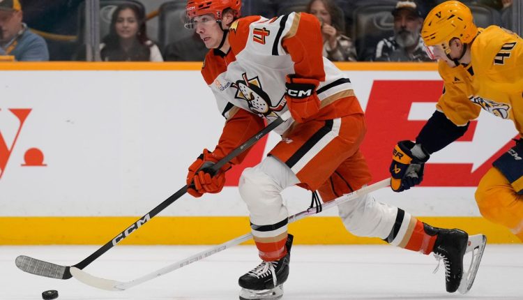 Ducks Predators Hockey