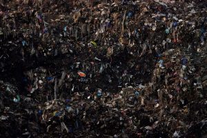Climate Choices Food Waste