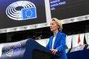 EU Confidence Vote