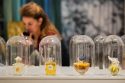 Germany Scent Exhibition
