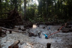 Climate-Interpol Crackdown
