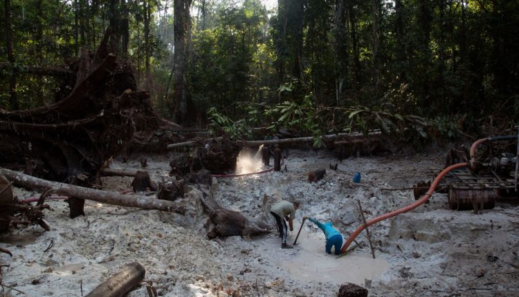 Climate-Interpol Crackdown