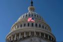 Government Shutdown