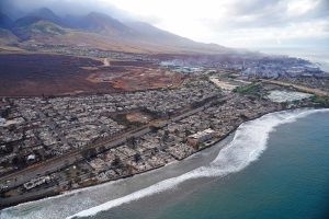 Climate-Global Wildfires