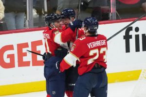 Senators Panthers Hockey