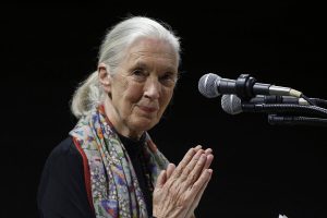 Obit Jane Goodall