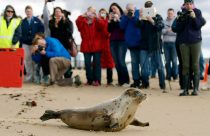 Climate Threatened Species