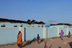 Nigeria Drones