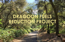 Dragoon Gulch Trail Project