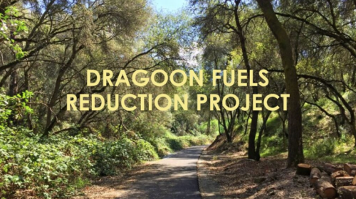 Dragoon Gulch Trail Project