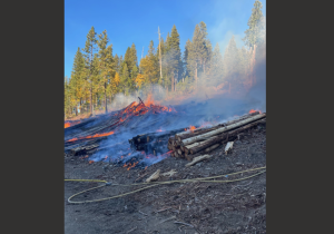 Fire in Stanislaus National Forest