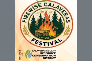 Firewise Calaveras Festival 2025 graphic