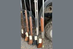 Guns seized after several raids on Greenley Hill illegal grows in Mariposa County—MCSO photo