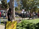 No Kings protest in Courthouse Park in Sonora -- Photo taken by Tracey Petersen