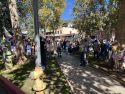 No Kings protest in Courthouse Park in Sonora -- Photo taken by Tracey Petersen