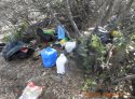 Illegal pot grow on public lands in Valley Spring -- CCSO photo