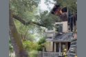 Residential structure fire in Pine Grove in Amador County—AFD photo