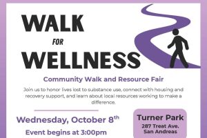 Walk For Wellness flyer