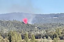 Winters Fire in Phoenix Lake area of Tuolumne County -- Photo taken by Renee Hendry
