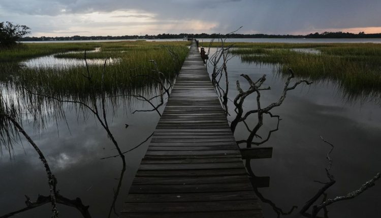 APTOPIX Climate Wetlands Community Restoration