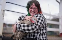 Turkey Cuddle Therapy