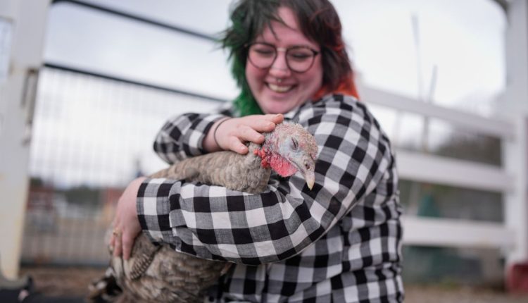 Turkey Cuddle Therapy