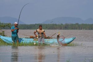 Sri Lanka Invasive Fish Photo Gallery