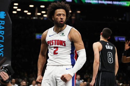 Pistons Nets Basketball