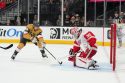 Red Wings Golden Knights Hockey