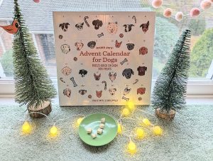 YE-Holiday-Gift-Guide-Countdown-Calendars