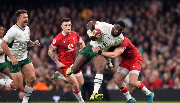 Wales South Africa Rugby