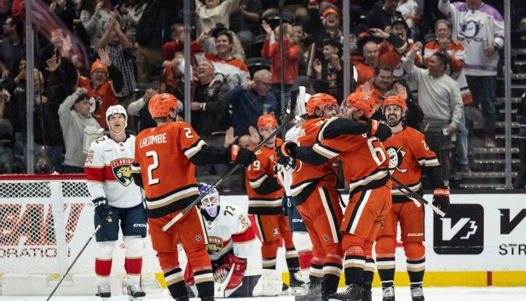 Panthers Ducks Hockey