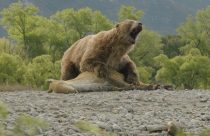 TV-Prehistoric Planet