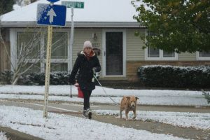 Winter Weather Illinois